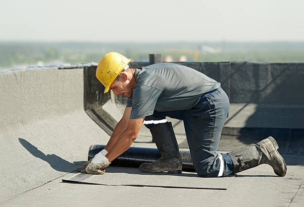 Best Insulation Maintenance and Repair in Erlanger, KY